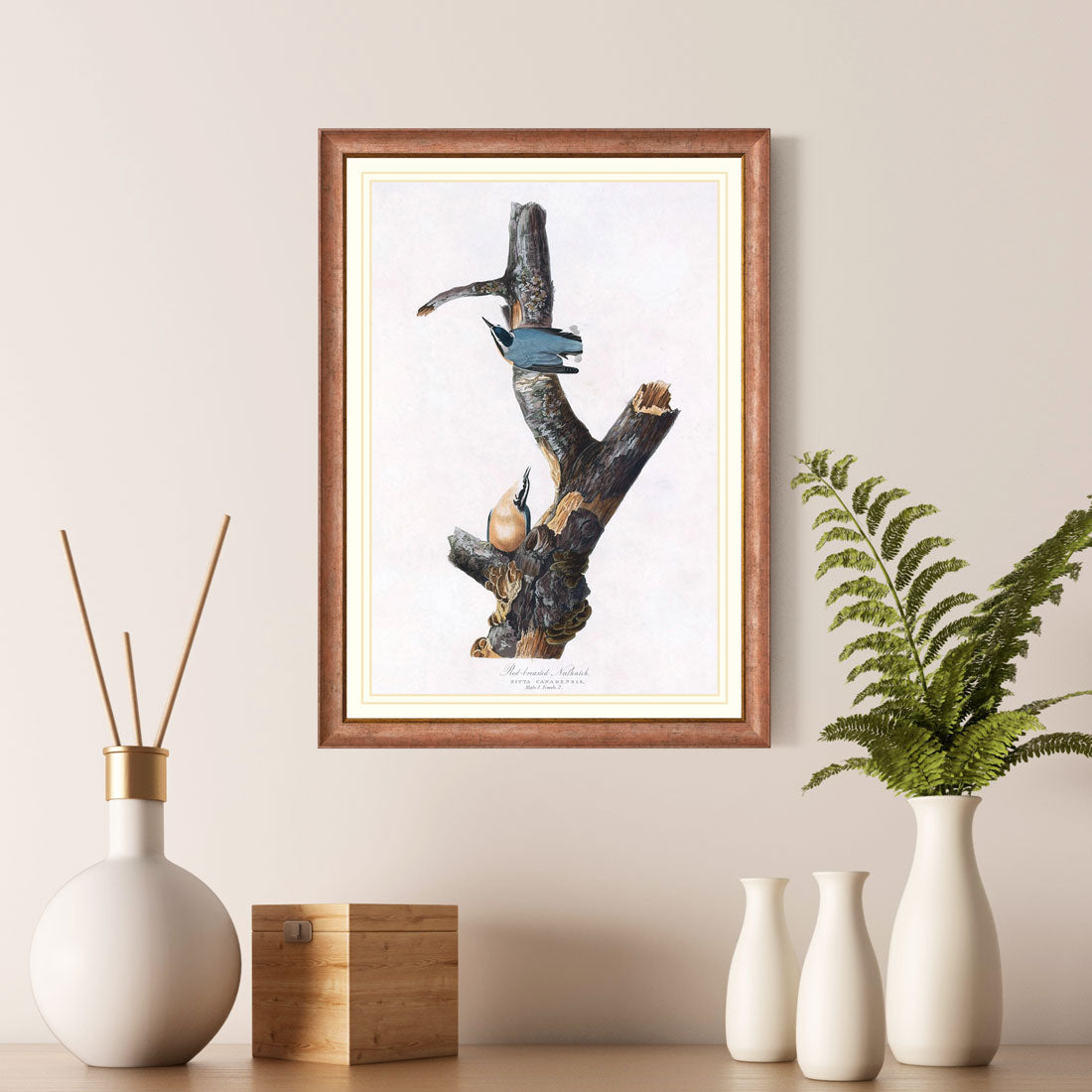 Red Breasted Nuthatch Bird Print 