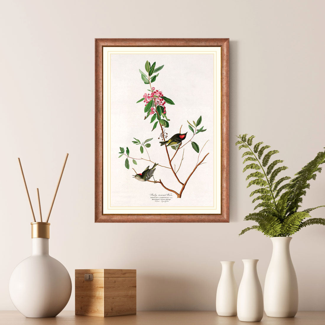 Ruby Crowned Wren Bird Print 
