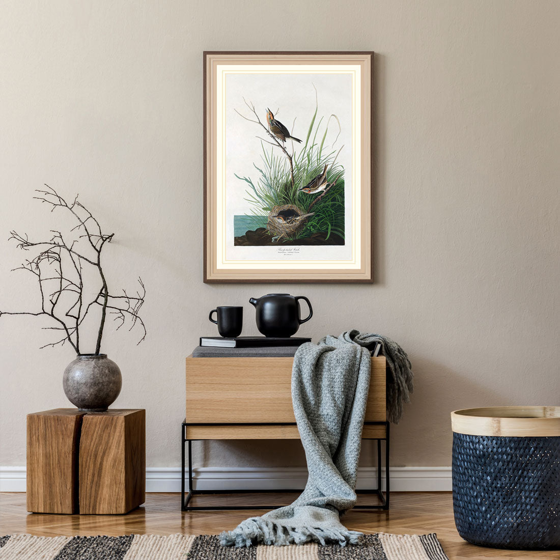 Sharp Tailed Finch Bird Print 
