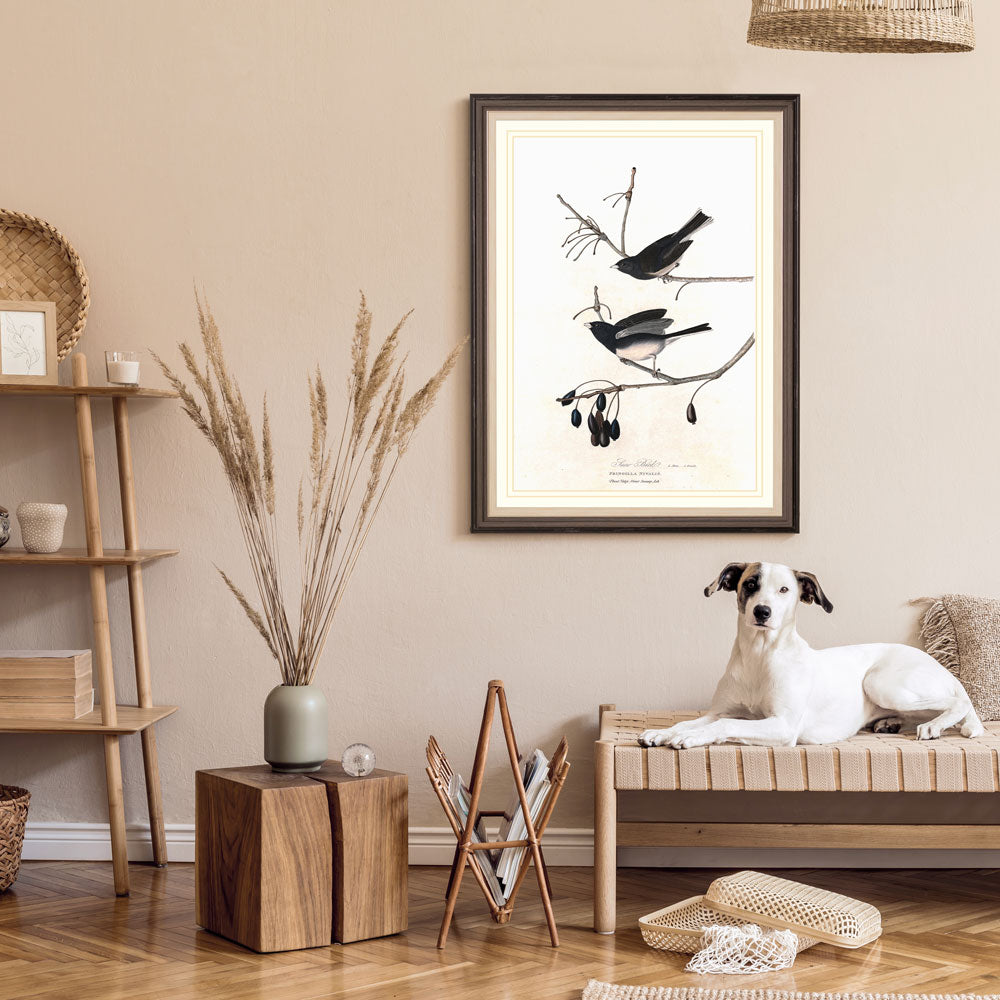Snow Bird Print 