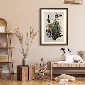 images