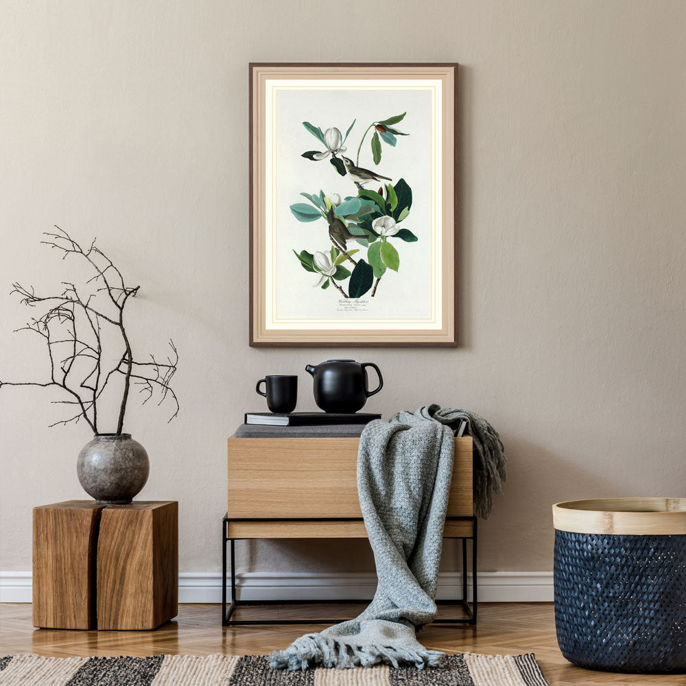 Warbling Flycatcher Bird Print 