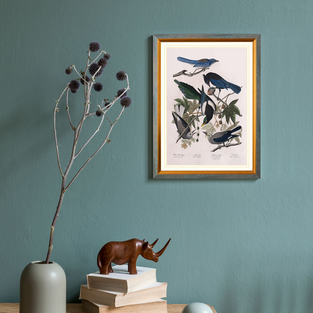 Yellow-Billed Magpie, Stellers Jay, Ultramarine Jay And Clark'S Crow Bird Print 