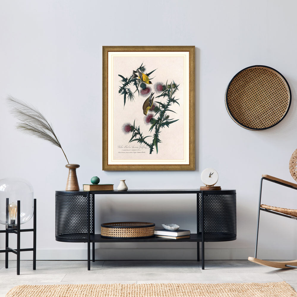 Yellow Bird Or American Goldfinch Bird Print 