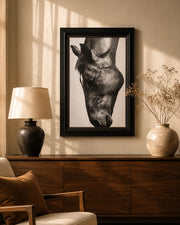 'Equus' Sandblast Framed Wall Art