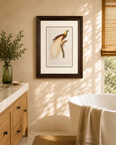 Emperor bird of paradise Print "24x30" Inches 