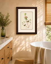 Ruby Crowned Wren Bird Print "24x30" Inches