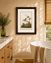 Winter Wren And Rock Wren Birds Print "24x30" Inches 