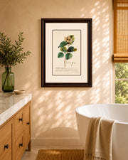 Green Botanical Plant Print "24x30" Inches