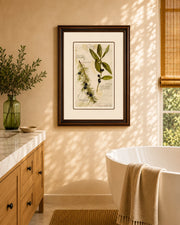 Bay Leaf And Juniper Print "24x30" Inches