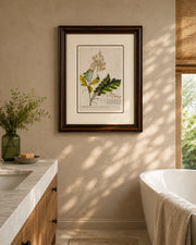Bocconia Plant Print "24x30" Inches