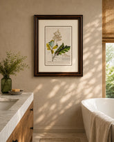 Bocconia Plant Print "24x30" Inches 