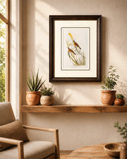 Black Throated Bunting Bird Print "24x30" Inches