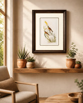 Black Throated Bunting Bird Print "24x30" Inches 