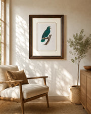 Cuban Parrot Bird Print "24x30" Inches