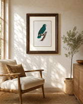 Cuban Parrot Bird Print "24x30" Inches 