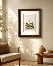 yucca Print "24x30" Inches