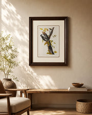 Black Backed Three Toed Woodpecker Bird Print "24x30" Inches