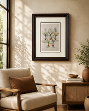 Hyacinthus candidissimus plenoflore Print "24x30" Inches