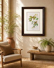 Carbonated Warbler Bird Print "24x30" Inches