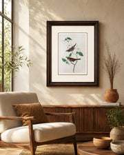 White Throated Sparrow Bird Print "24x30" Inches