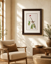 Louisiana Water Thrush Bird Print "24x30" Inches