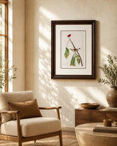 Louisiana Water Thrush Bird Print "24x30" Inches 