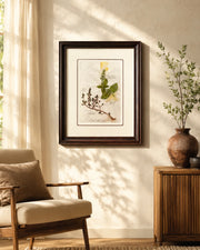 Basil And Thyme Print "24x30" Inches