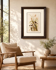 Macgillivray'S Finch Bird Print "24x30" Inches