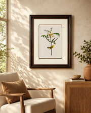 Children's Warbler Bird Print "24x30" Inches