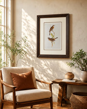 Gould Birds Europe Print "24x30" Inches