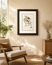 Lesser Red Poll Bird Print "24x30" Inches