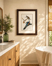 Passenger Pigeon Bird Print "24x30" Inches