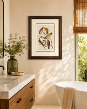 Arkansaw Says Flycatcher Birds Print "24x30" Inches