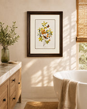Brown Headed Worm Eating Warbler Bird Print "24x30" Inches