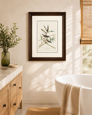 Solitary Flycatcher Bird Print "24x30" Inches