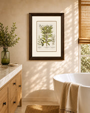 Basil Or Rhododendron Pants Print "24x30" Inches