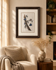 Capped Nuthatch Bird Print "24x30" Inches