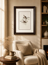 Gould Birds Europe Print "24x30" Inches 
