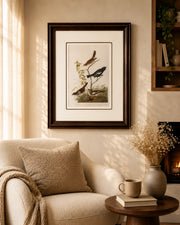 Brown Song Sparrow Birds Print "24x30" Inches