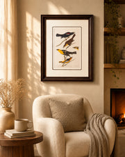 Yellow-Headed Troopial And Bullock'S Oriole Bird Print "24x30" Inches