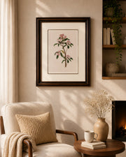 Cuvier's Wren Bird Print "24x30" Inches