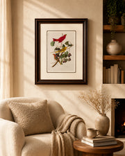 Summer Red Bird Print "24x30" Inches