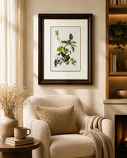 Palm Warbler Bird Print "24x30" Inches