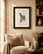 Connecticut Warbler Bird Print "24x30" Inches