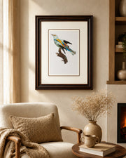 Abyssinian roller Bird Print "24x30" Inches