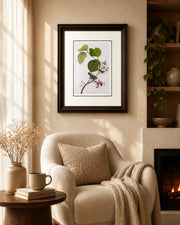 Pine Swamp Warbler Bird Print "24x30" Inches