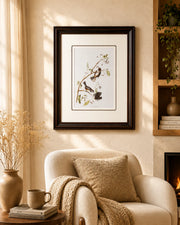 Canadian Titmouse Bird Print "24x30" Inches
