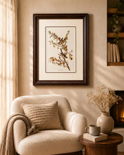 Tree Sparrow Bird Print "24x30" Inches