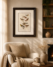 Lazuli Finch Bird Print "24x30" Inches
